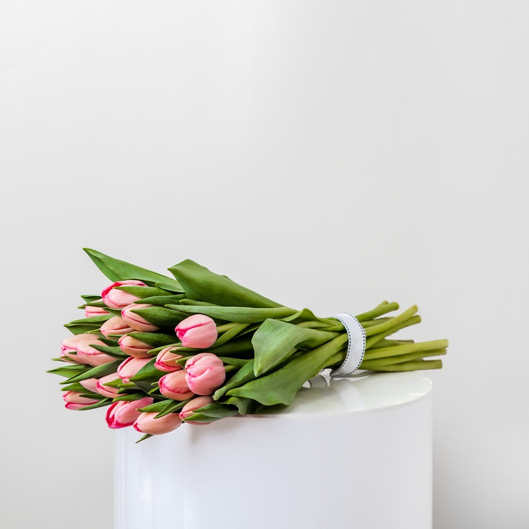 Pink Tulips